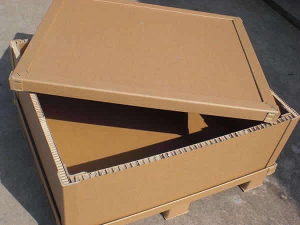 蜂窩紙箱承重紙箱 (4)