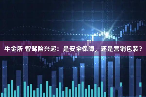 牛金所 智駕險(xiǎn)興起：是安全保障，還是營銷包裝？
