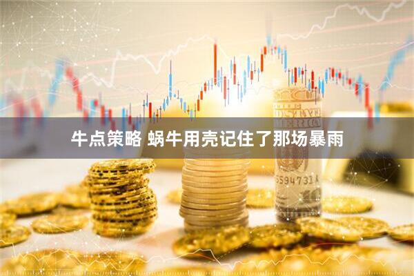 牛點(diǎn)策略 蝸牛用殼記住了那場暴雨