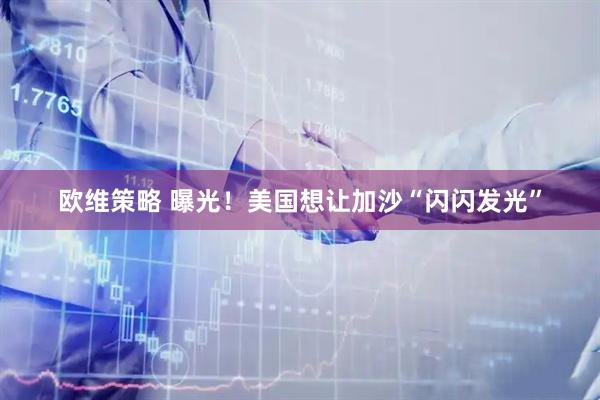 歐維策略 曝光！美國(guó)想讓加沙“閃閃發(fā)光”