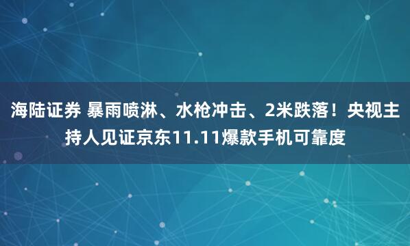 海陸證券 暴雨噴淋、水槍沖擊、2米跌落！央視主持人見證京東11.11爆款手機可靠度